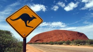 Ayres Rock, Australia: A Kangaroo warning road sign in the desert near Uluru
