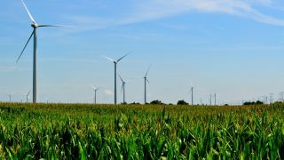 Větrná farma v Illinois