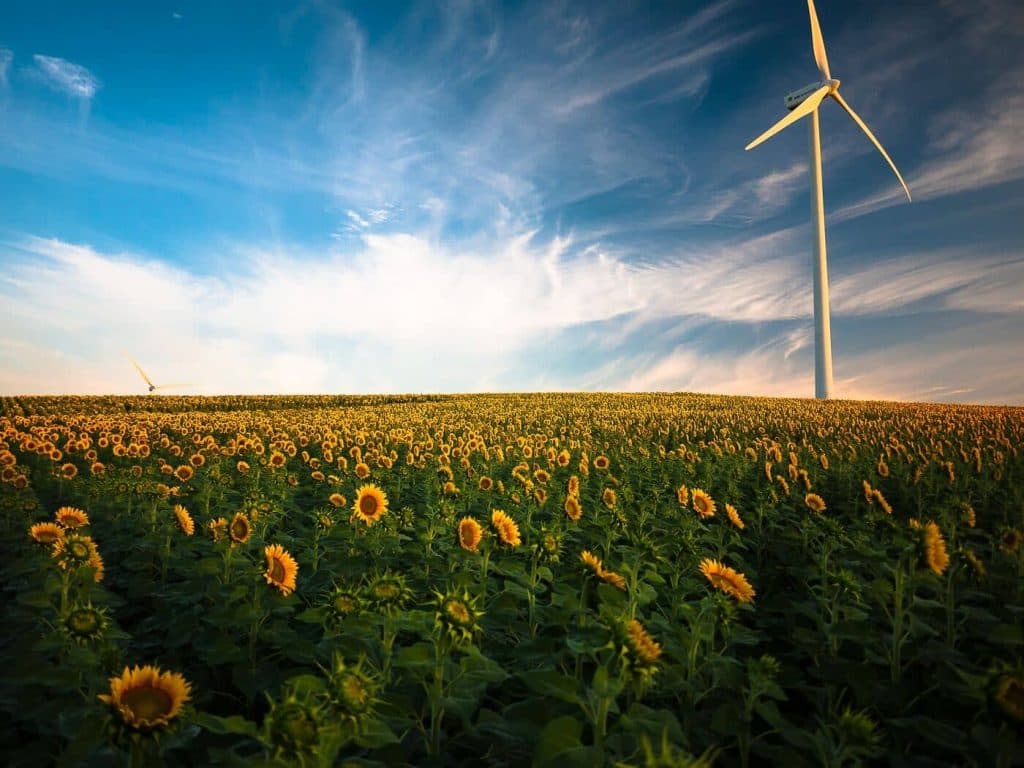 akcie-spolecnosti-vestas-vyrabejici-vetrne-turbiny-jen-letos-vzrostly-o-70