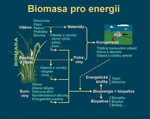 Využití biomasy. Autor: Antonín Slejška