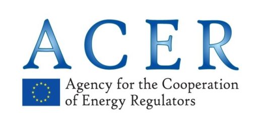 Logo Agentury ACER. Zdroj: ACER
