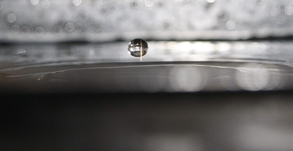 Zdroj: Flickr.com
Autor: Andrew Campbell
