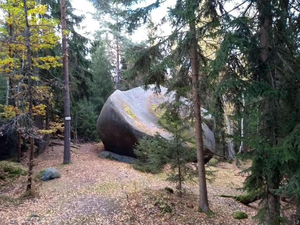 Energetická koncepce Greenpeace a Hnutí Duha, hlavně její velké nároky na využití biomasy, by extrémně zvýšila na zemědělskou a lesní krajinu a naše životní prostředí. Lesy v okolí Žihle (foto Vladimír Wagner). 