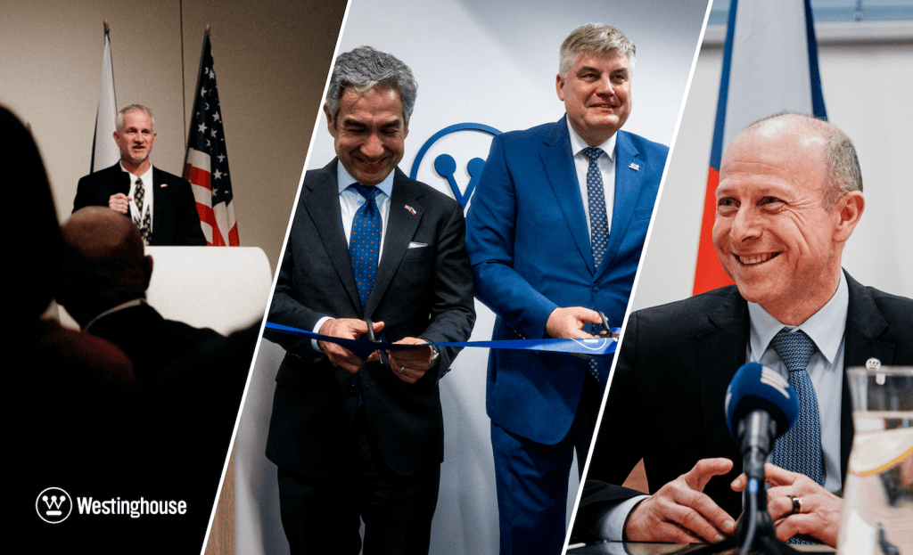 Zdroj: Westinghouse Electric Czech Republic