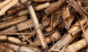 Objem výroby dřevěných pelet stoupl v pololetí v ČR o 26 %, tři čtvrtiny míří na export