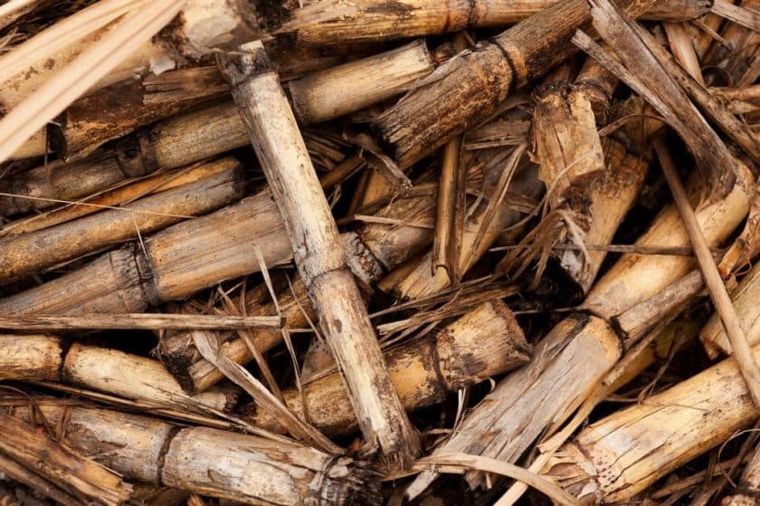 Britská vláda podpoří projekty na udržitelnou domácí produkci biomasy