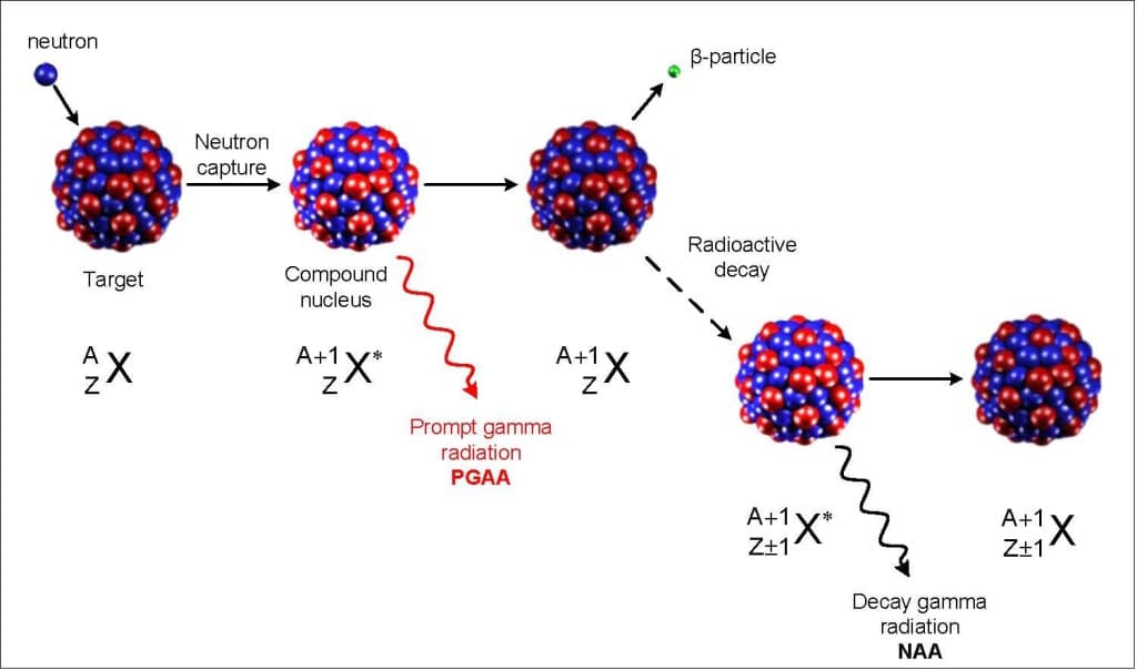 Absorpce neutronu jádrem atomu; Zdroj: NMI3