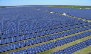 Zpřístupnění zemědělské půdy německým fotovoltaikám srazilo v aukci ceny dolů
