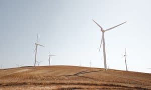 Výrobce větrných turbín Vestas zmírnil obavy týkající se klesající ziskovosti, akcie mírně ožily