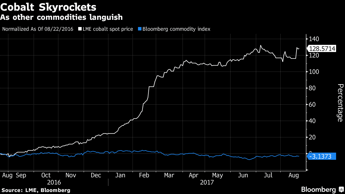 Procentuální nárůst cen kobaltu ve srovnání s komoditním indexem agentury Bloomberg. Zdroj: Bloomberg