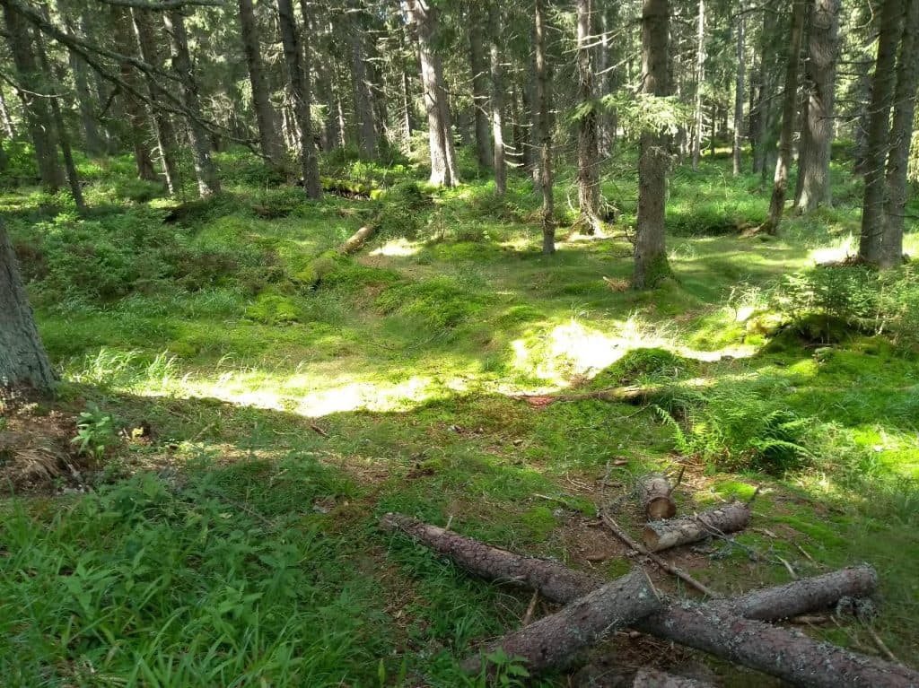 opravdu-provozuje-greenwashing