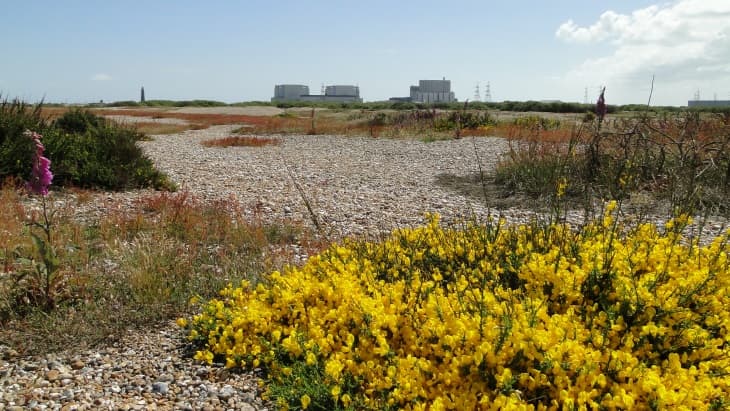 Jaderná elektrárna Dungeness B