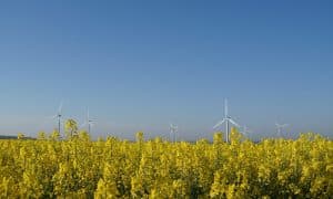 Slovensko přechází z Naturalu 95 na palivo s vyšším obsahem biosložky