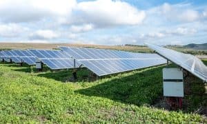 Špicar: Green Deal může být pro českou ekonomiku příležitostí i rizikem
