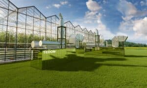 Co čekat od cen elektřiny a plynu v roce 2025? Pohled společnosti TEDOM energie - část II