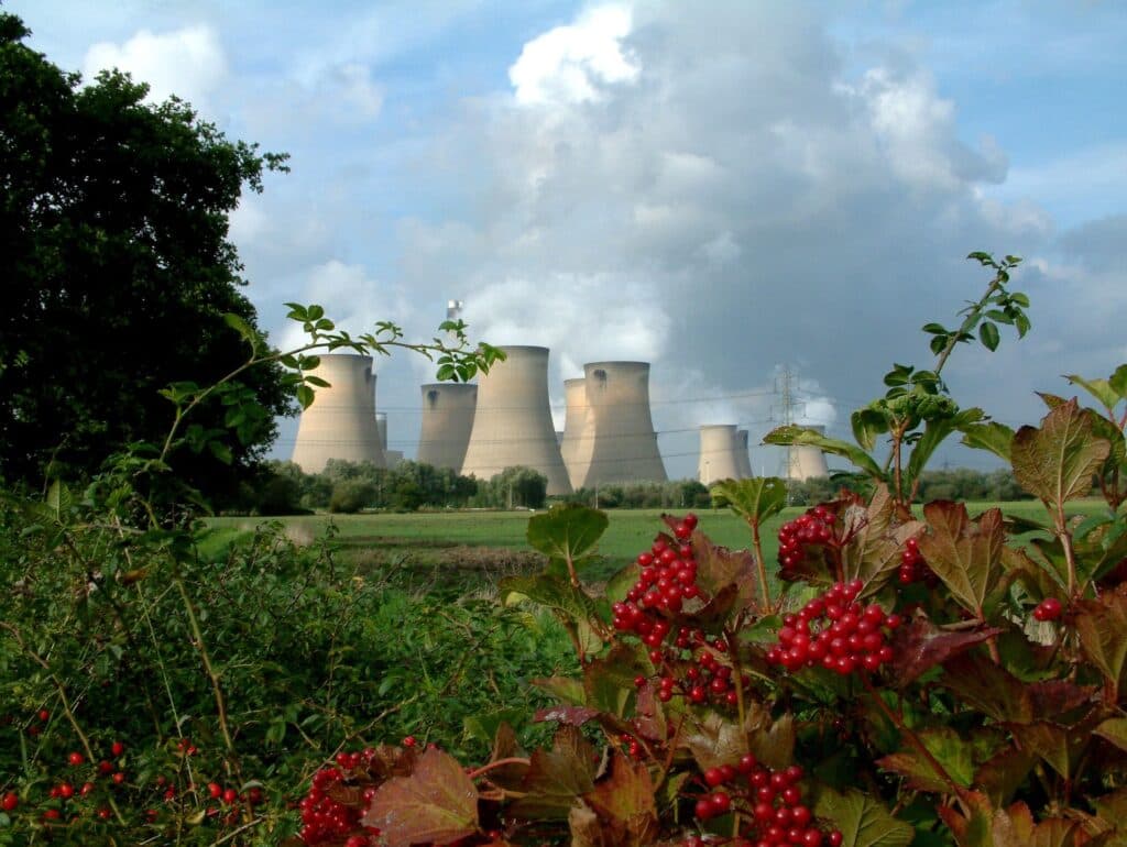 Britská elektrárna Drax navýšila výrobu elektřiny z biomasy v prvním pololetí meziročně o 16 %