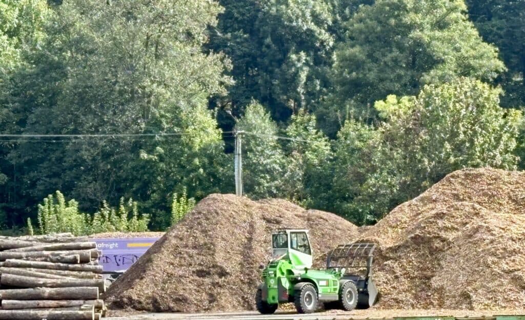 Biomasa pro velké i malé provozy – stabilní cesta k čistší energii