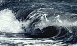 Proč je komerční využití energie oceánu blíže než kdy dřív?