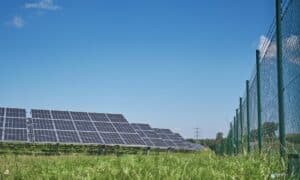 IEA se pravděpodobně rozšíří o Brazílii, hostitele klimatické konference COP30