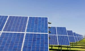 I přes Trumpovy překážky přibývají solární elektrárny zejména v jeho státech