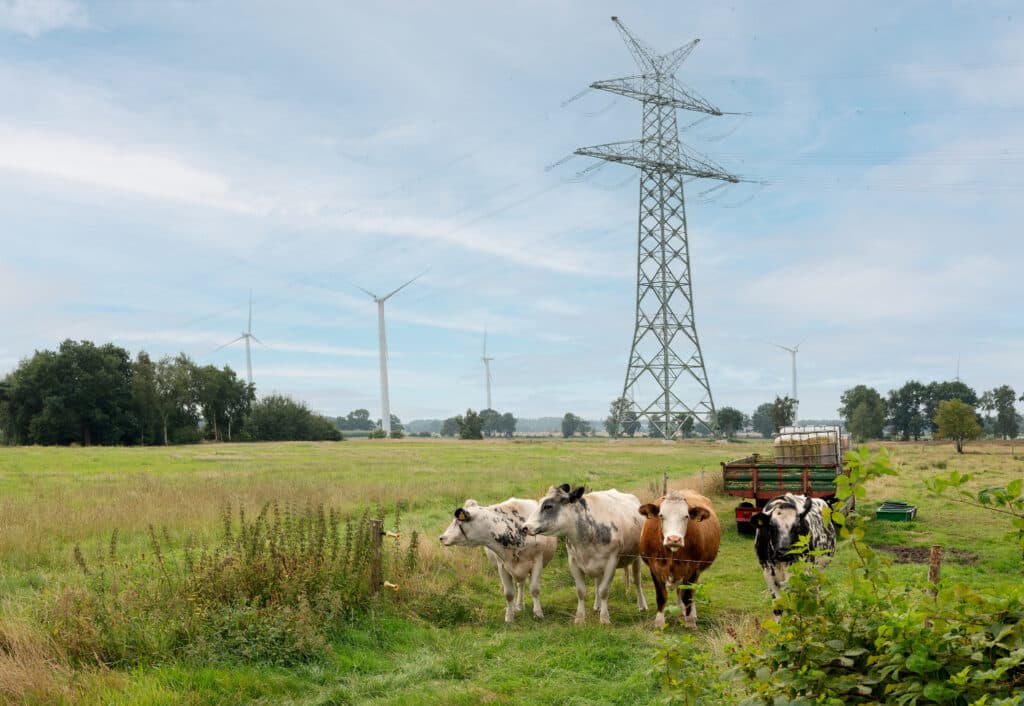 nemecky-bateriovy-boom-blokuje-pristup-k-siti-pro-prumysl-i-elektrarny