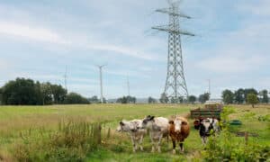 Německý bateriový boom by mohl zablokovat přístup k síti pro průmysl i elektrárny