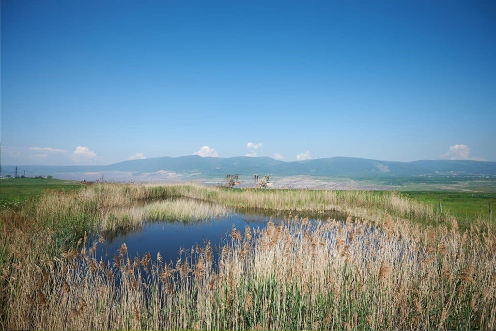 lom-csa-prvni-velky-test-nove-rekultivacni-a-energeticke-politiky-statu