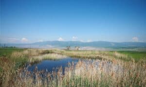 Lom ČSA: první velký test nové rekultivační a energetické politiky státu