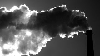 Zdroj: https://www.flickr.com/photos/senor_codo/