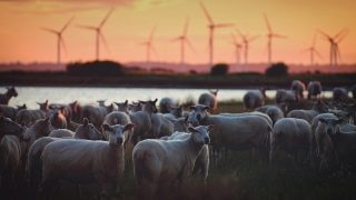 Zdroj: Unsplash