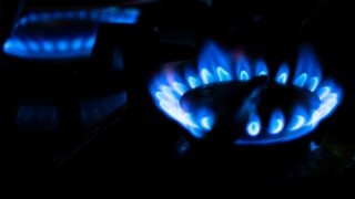 plynový sporák, gas stove, gas cooker, gas prices