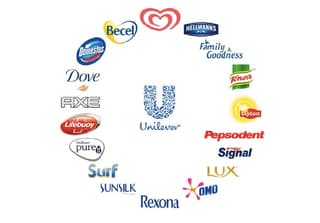 Logo společnosti Unilever a některých produktů společnosti. Zdroj: Unilever
