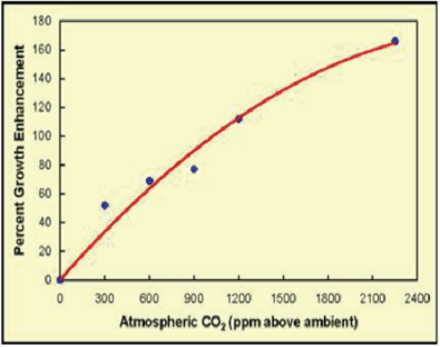 Růst vegetace s růstem koncentrace CO2