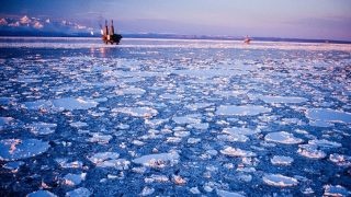 Těžba ropy v Arktidě