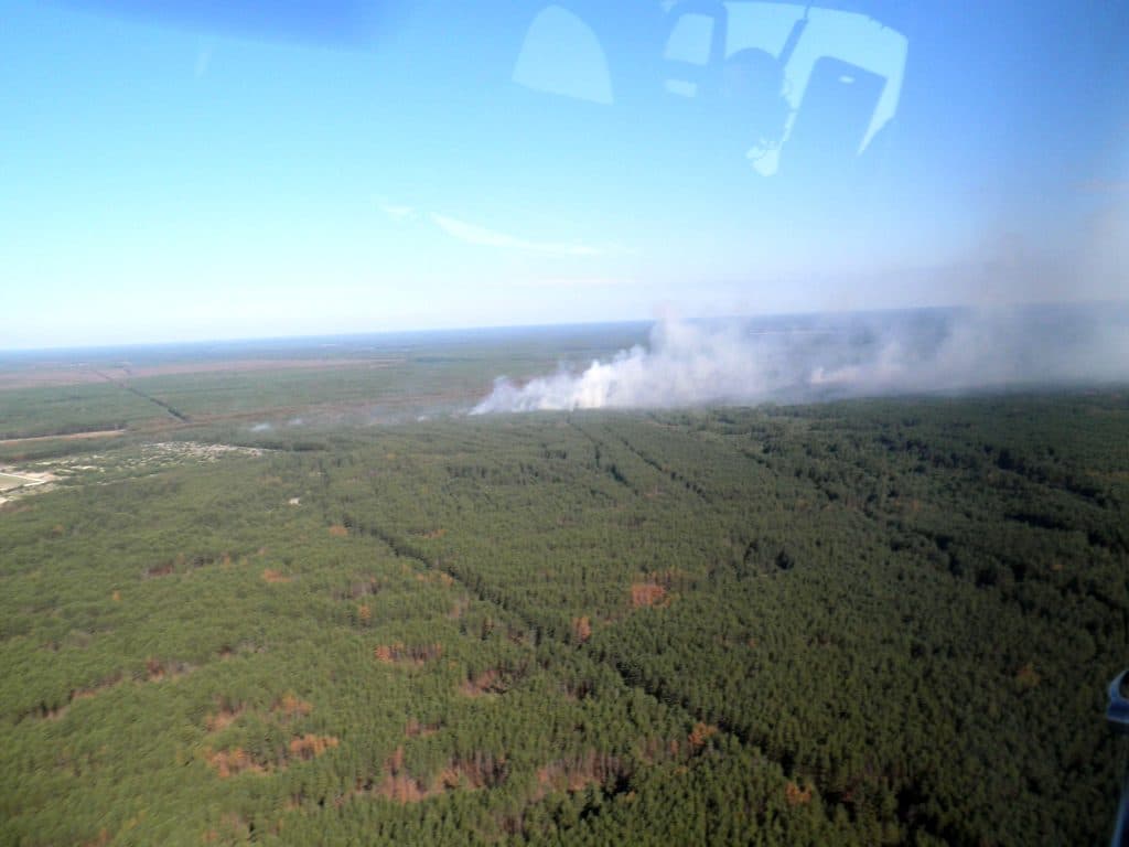 cernobylske-zone-horel-les-rizika-nehrozi-video