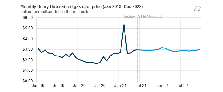 Vývoj a predikce ceny zemního plynu v USA.