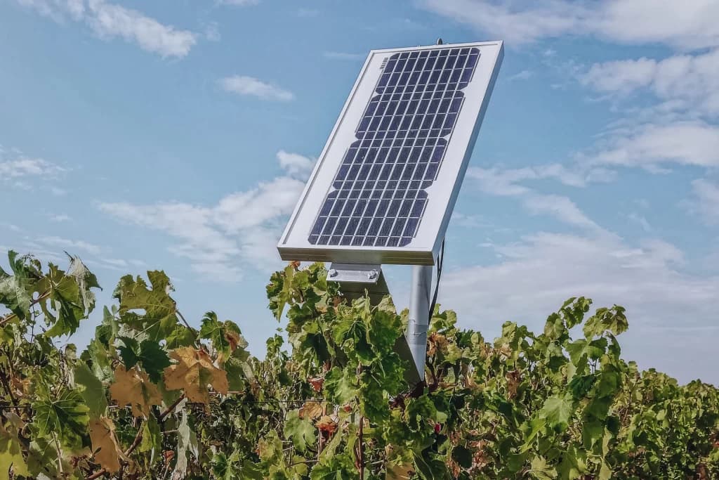 prvni-vinice-a-malinovniky-doplnuji-solarni-panely-agrovoltaika-prichazi-do-ceska