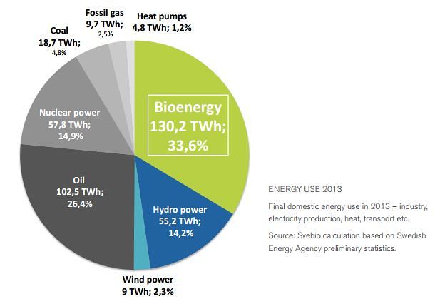 Spotřeba biopaliv na výrobu energie ve Švédsku v roce 2013. Zdroj: Svebio