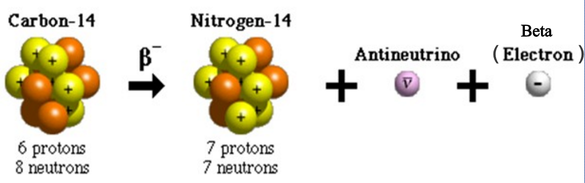 Radioaktivní izotop C14 se kromě jiného využívá i při radiokarbonové metodě datování; Zdroj: IAEA
