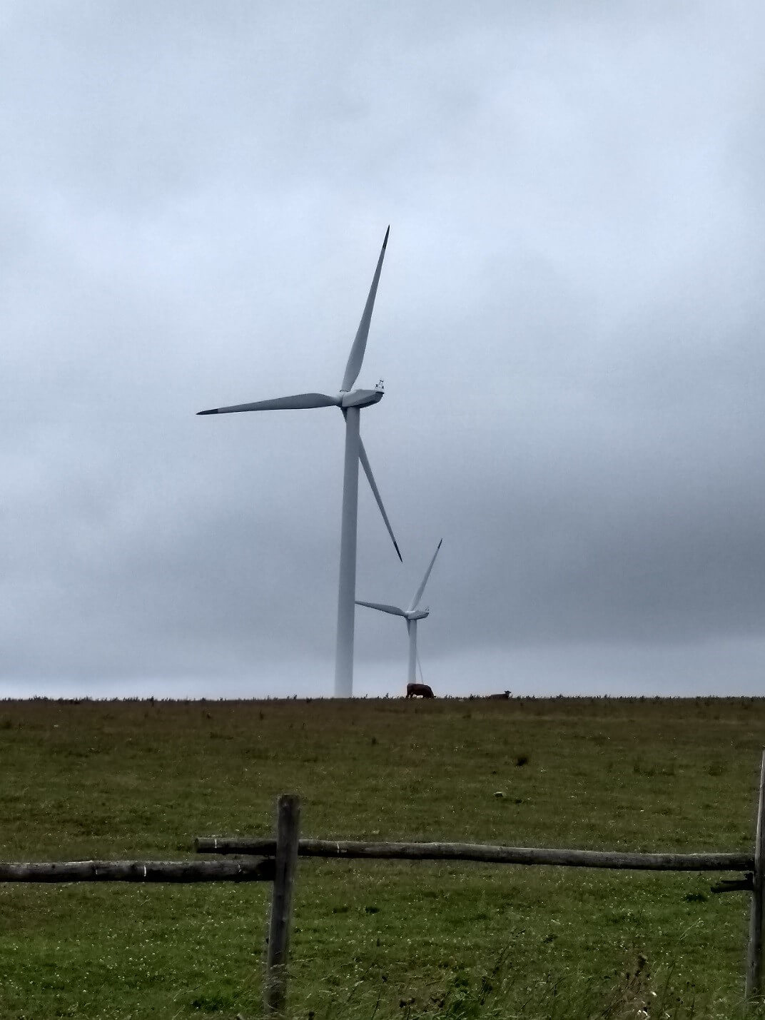 Větrné elektrárny v decentralizované podobě jsou i v současné energetické koncepci, ale jejich potenciál je omezený. Větrné turbínu v Krušných horách. (Zdroj Vladimír Wagner).