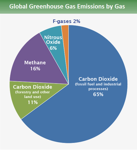 Graf č. 1 – znázornění přibližného podílu jednotlivých antropogenních plynů, které přispívají k probíhajícím změnám klimatu. Převzato z webu EPA, zdrojem použitých dat je zpráva IPCC.