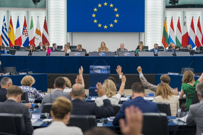 Zdoj EP: Hlasování plenárního zasedání EP