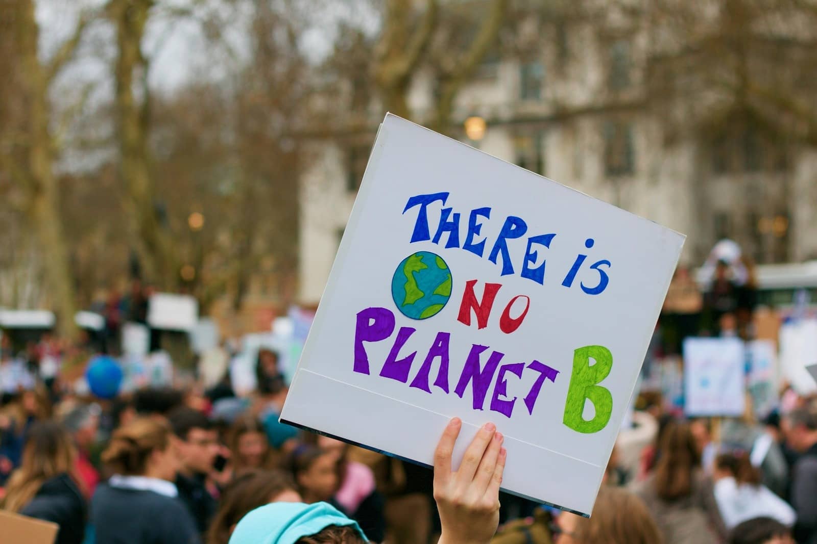 climate, demonstration, activism
