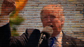 donald trump, USA, United states of america